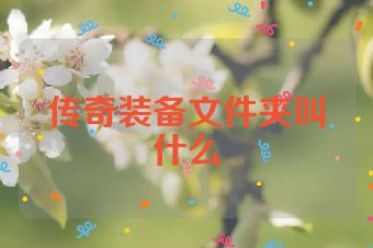 传奇装备文件夹叫什么