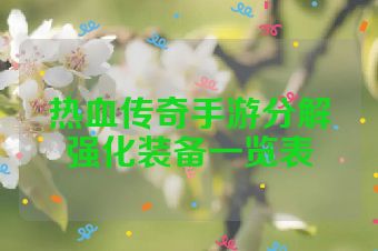 热血传奇手游分解强化装备一览表