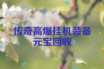 传奇高爆挂机装备元宝回收