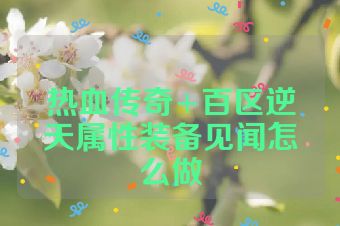 热血传奇+百区逆天属性装备见闻怎么做