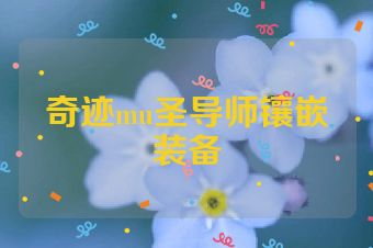奇迹mu圣导师镶嵌装备
