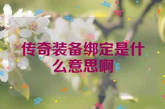传奇装备绑定是什么意思啊
