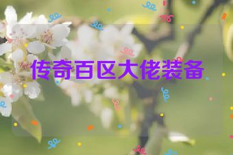 传奇百区大佬装备