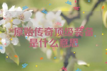 原始传奇顶级装备是什么意思