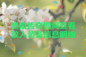 热血传奇如何查看敌人装备信息明细