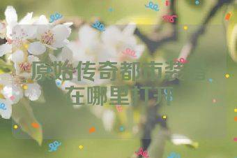 原始传奇都市装备在哪里打开