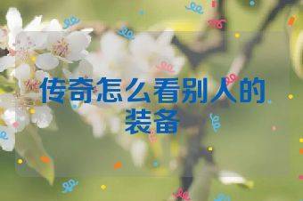 传奇怎么看别人的装备