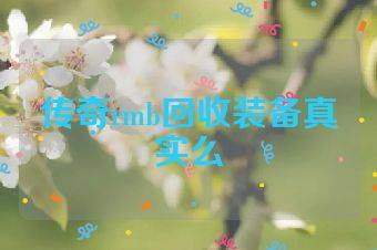 传奇rmb回收装备真实么