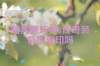 暗黑破坏神4传奇装备能刻印吗
