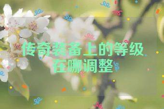 传奇装备上的等级在哪调整