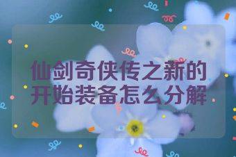 仙剑奇侠传之新的开始装备怎么分解