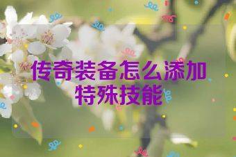传奇装备怎么添加特殊技能