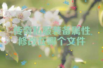 传奇私服装备属性修改在哪个文件