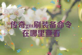 传奇gm刷装备命令在哪里查看