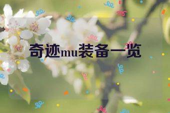 奇迹mu装备一览