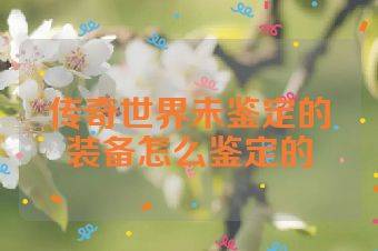 传奇世界未鉴定的装备怎么鉴定的