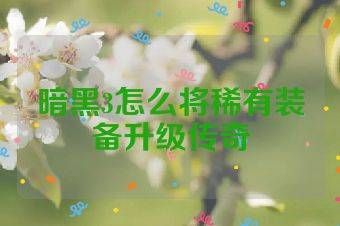 暗黑3怎么将稀有装备升级传奇