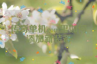 传奇单机gom里如何添加新装备