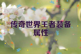 传奇世界王者装备属性