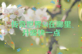 传奇世界3d在哪里升级快一点