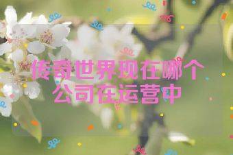 传奇世界现在哪个公司在运营中