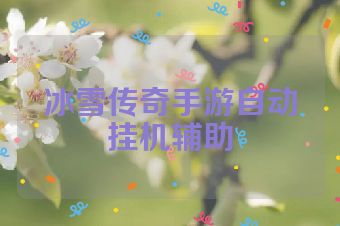 冰雪传奇手游自动挂机辅助