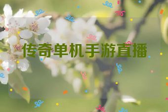 传奇单机手游直播