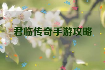 君临传奇手游攻略