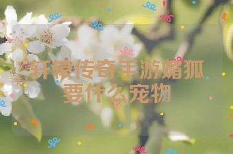 轩辕传奇手游媚狐要什么宠物