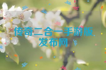 传奇二合一手游版发布网