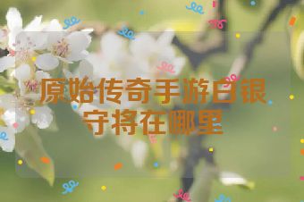 原始传奇手游白银守将在哪里
