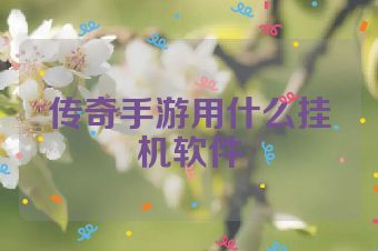 传奇手游用什么挂机软件