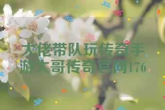 大佬带队玩传奇手游大哥传奇官网176