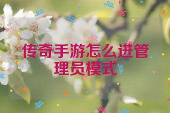 传奇手游怎么进管理员模式