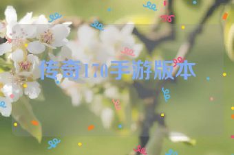 传奇170手游版本