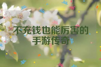 不充钱也能厉害的手游传奇