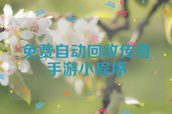 免费自动回收传奇手游小程序