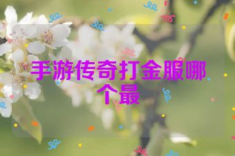 手游传奇打金服哪个最