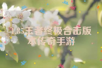 1.85王者终极合击版本传奇手游