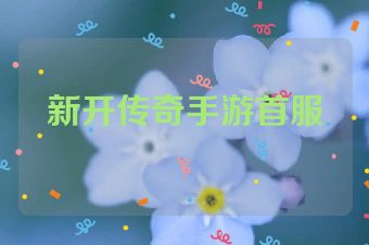 新开传奇手游首服