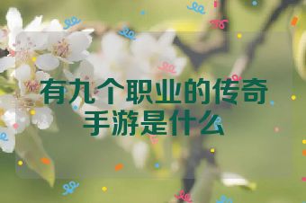有九个职业的传奇手游是什么