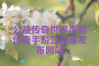 公益传奇世界手游传奇手游公益服发布网站