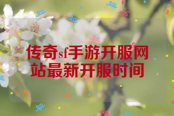 传奇sf手游开服网站最新开服时间